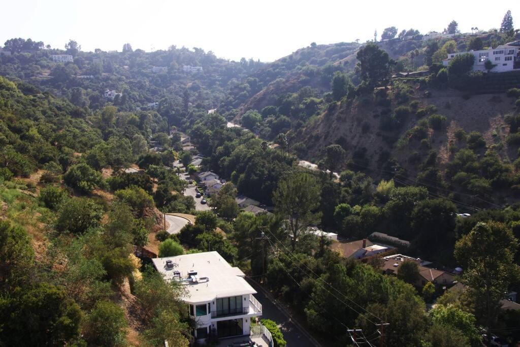 Mountain View Oasis